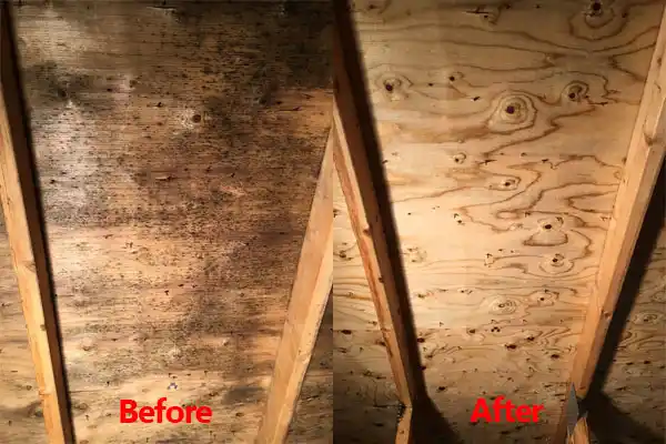 water damage restoration service Killdeer